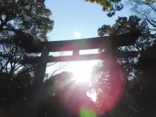 明治神宮(東京都)