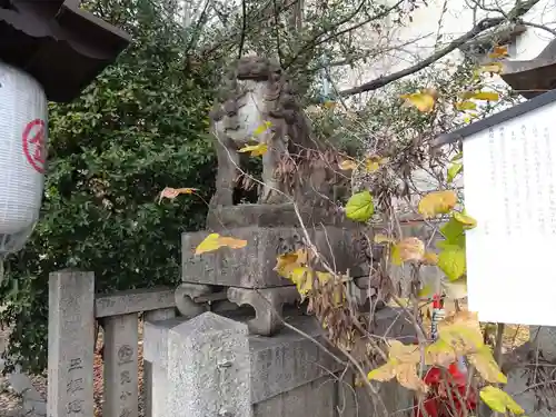 安井金比羅宮の狛犬