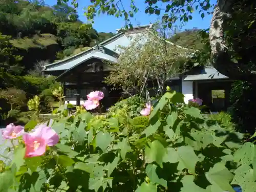 海蔵寺の庭園