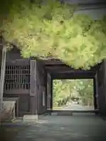 讃岐國分寺の山門・神門