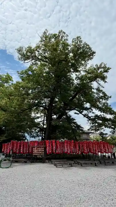 秩父今宮神社(埼玉県)