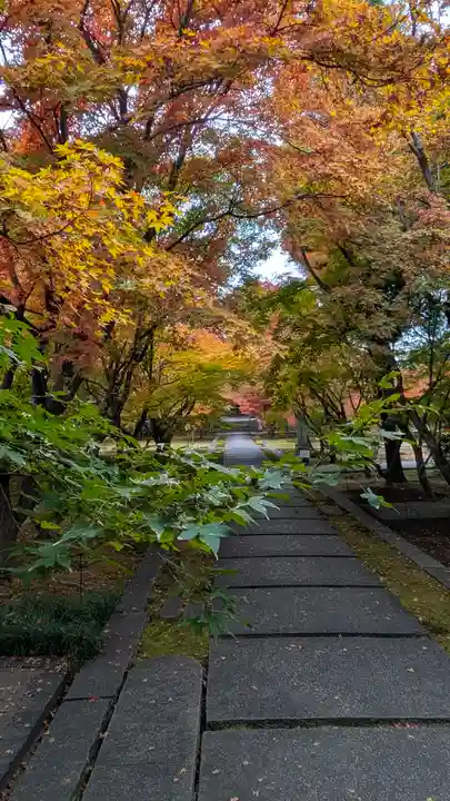 興聖寺(京都府)