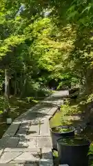 勝林寺(京都府)