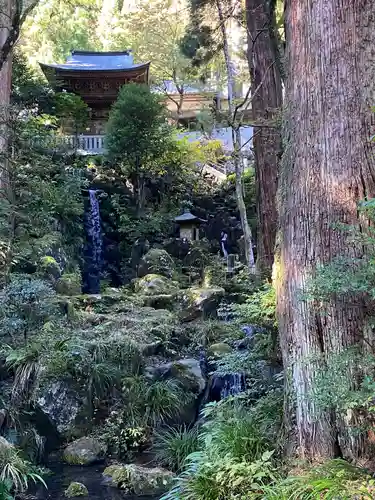 最乗寺（道了尊）の庭園