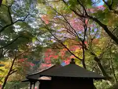 普門寺(切り絵御朱印発祥の寺)(愛知県)