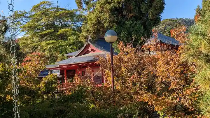 大覚寺(京都府)
