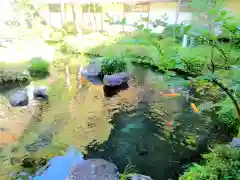 覚林房の庭園