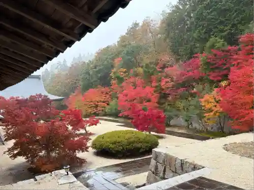 光信寺(広島県)