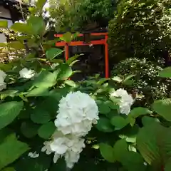 宝蔵寺(京都府)