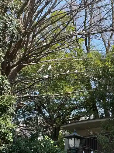 靖國神社(東京都)