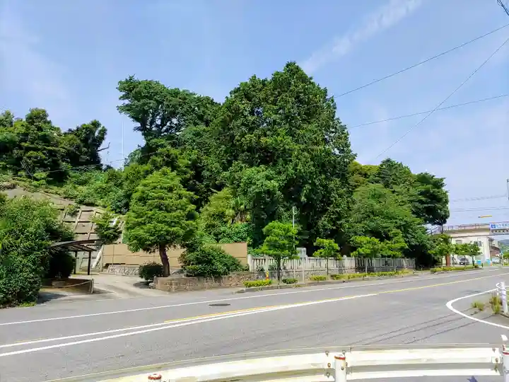 御祖神社の自然