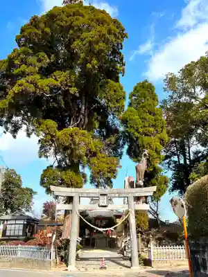 興玉神社(宮崎県)