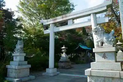 立川熊野神社の鳥居