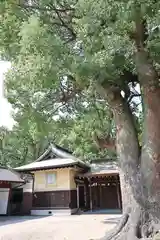 佐嘉神社／松原神社(佐賀県)