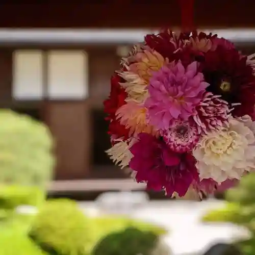 岡寺（龍蓋寺）の自然