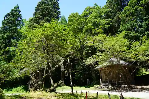磐椅神社の自然