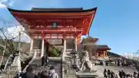清水寺(京都府)