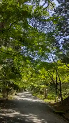 園城寺（三井寺）(滋賀県)