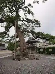 大慶寺の建物その他