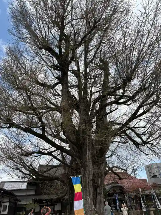 飛騨国分寺の{uncategorized: "未分類", other: "その他", undefined: "問題あり", building: "その他建物", grave: "お墓", sacred_gate: "鳥居", guardian: "狛犬", statue: "像", buddha: "仏像", history: "歴史", nature: "自然", garden: "庭園", animal: "動物", pagoda: "塔", temizu: "手水舎", mountain_gate: "山門・神門", sanctuary: "本殿・本堂", subordinate: "末社・摂社", art: "芸術", scenery: "景色", jizo: "地蔵", ema: "絵馬", goshuin: "御朱印", omikuji: "おみくじ", items: "授与品その他", amulet: "お守り", goshuincho: "御朱印帳", eats: "食事", festival: "お祭り", votive_dance: "神楽", shichigosan: "七五三参", wedding: "結婚式", experience: "体験その他", initially: "初詣", around: "周辺", anti_infection: "感染症対策"}