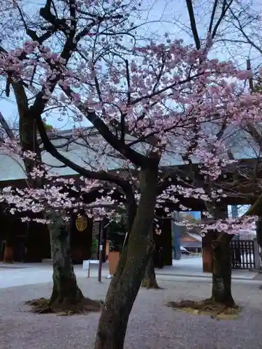 靖國神社(東京都)