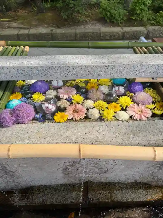 竹駒神社の{uncategorized: "未分類", other: "その他", undefined: "問題あり", building: "その他建物", grave: "お墓", sacred_gate: "鳥居", guardian: "狛犬", statue: "像", buddha: "仏像", history: "歴史", nature: "自然", garden: "庭園", animal: "動物", pagoda: "塔", temizu: "手水舎", mountain_gate: "山門・神門", sanctuary: "本殿・本堂", subordinate: "末社・摂社", art: "芸術", scenery: "景色", jizo: "地蔵", ema: "絵馬", goshuin: "御朱印", omikuji: "おみくじ", items: "授与品その他", amulet: "お守り", goshuincho: "御朱印帳", eats: "食事", festival: "お祭り", votive_dance: "神楽", shichigosan: "七五三参", wedding: "結婚式", experience: "体験その他", initially: "初詣", around: "周辺", anti_infection: "感染症対策"}
