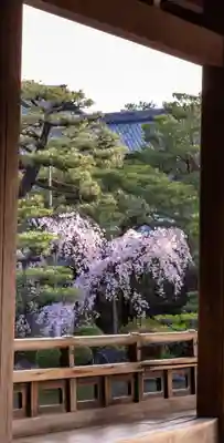 平安神宮(京都府)