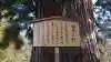 諏訪大社下社秋宮(長野県)