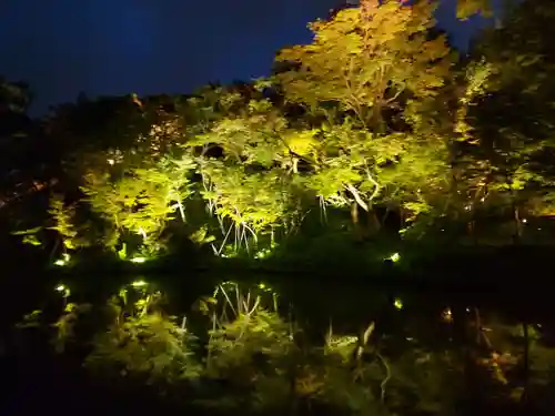 高台寺（高台寿聖禅寺・高臺寺）の自然
