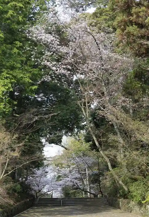 光明寺(粟生光明寺)(京都府)
