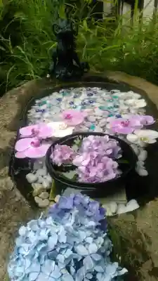 琴似神社の手水舎