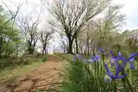 浅間神社(神奈川県)