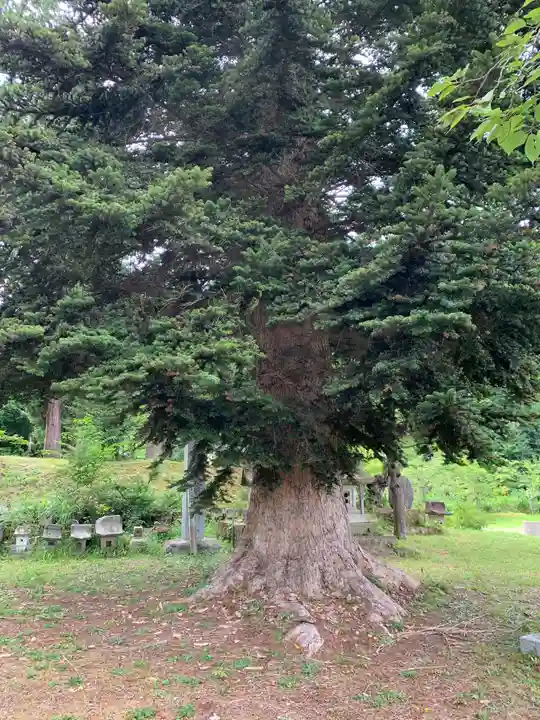 愛宕羽山両神社(山形県)