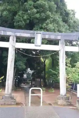 大間木氷川神社(埼玉県)