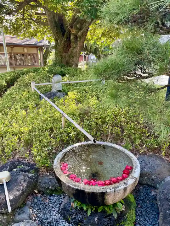 蓮光寺の{uncategorized: "未分類", other: "その他", undefined: "問題あり", building: "その他建物", grave: "お墓", sacred_gate: "鳥居", guardian: "狛犬", statue: "像", buddha: "仏像", history: "歴史", nature: "自然", garden: "庭園", animal: "動物", pagoda: "塔", temizu: "手水舎", mountain_gate: "山門・神門", sanctuary: "本殿・本堂", subordinate: "末社・摂社", art: "芸術", scenery: "景色", jizo: "地蔵", ema: "絵馬", goshuin: "御朱印", omikuji: "おみくじ", items: "授与品その他", amulet: "お守り", goshuincho: "御朱印帳", eats: "食事", festival: "お祭り", votive_dance: "神楽", shichigosan: "七五三参", wedding: "結婚式", experience: "体験その他", initially: "初詣", around: "周辺", anti_infection: "感染症対策"}