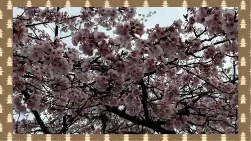 密藏院(埼玉県)