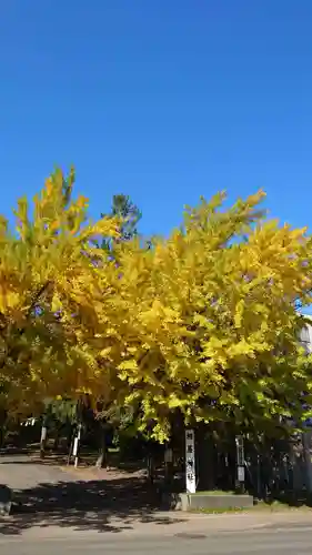 相馬神社(北海道)