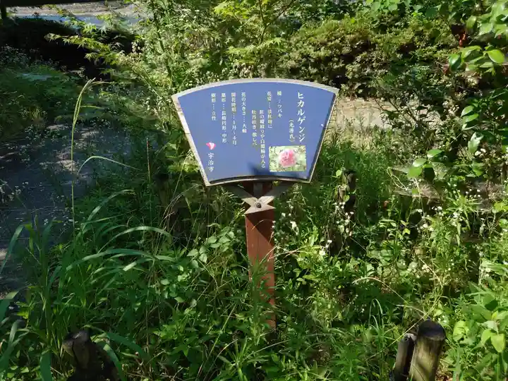 宇治神社の歴史