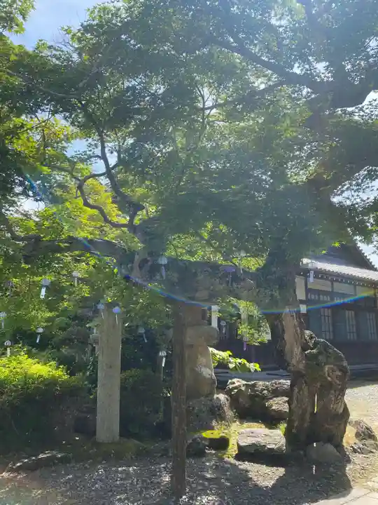 秋葉總本殿可睡斎(静岡県)