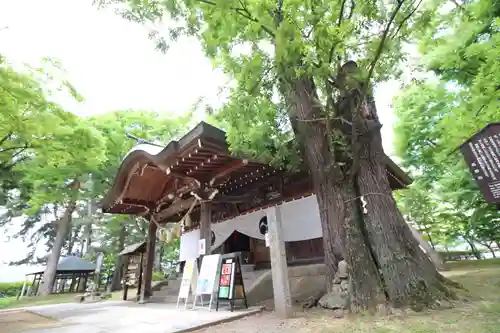 川中島古戦場八幡社の本殿