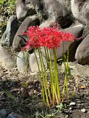 延命寺(東京都)