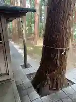 熊野神社(茨城県)