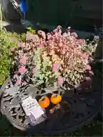 龍姫神社(広島県)