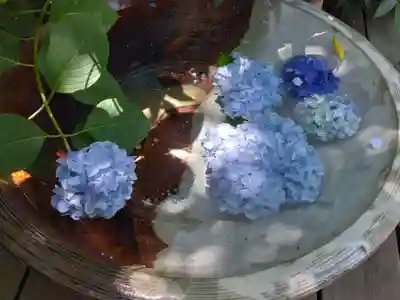 明月院(神奈川県)