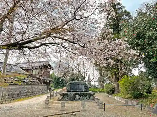 沙沙貴神社の自然