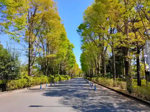 武蔵陵墓地(東京都)