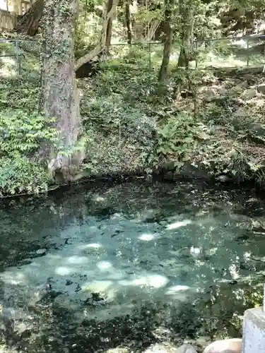 泉神社の庭園