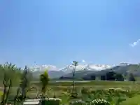 普済寺藤光庵の景色