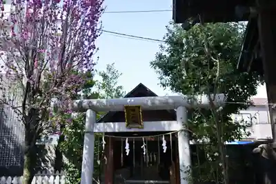 八幡八雲神社の鳥居