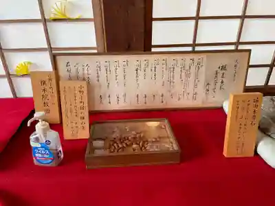 隨心院(随心院)(京都府)